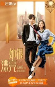 她很漂亮[2016年趙軼超執導電視劇]