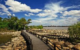 河西五郡 河西五郡