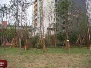 新馬路小區 新馬路小區