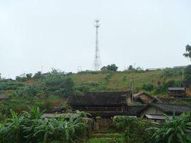 雅口組村 雅口組村