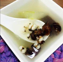 冬瓜苡仁蟬蛻湯 冬瓜苡仁蟬蛻湯