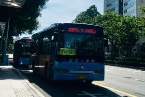 廈門73路 廈門73路