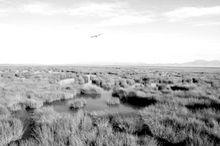 若爾蓋國家濕地公園