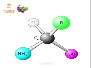 盛凱元輕優優酵素