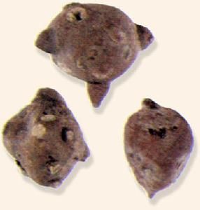 附子理中圓 附子理中圓