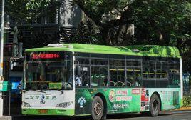 廈門85路 廈門85路