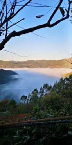 大灣村[雲南省玉溪市洛河鄉大灣村]