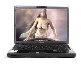 東芝M306 東芝M306