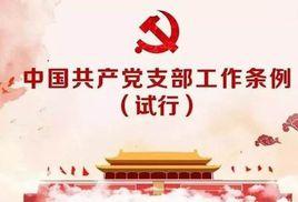 中國共產黨支部工作條例(試行) 中國共產黨支部工作條例(試行)