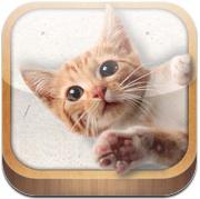 貓言貓語[同名軟體]