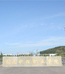 泰山護理職業學院