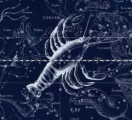 上升巨蟹 上升巨蟹