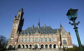 海牙大學 海牙大學