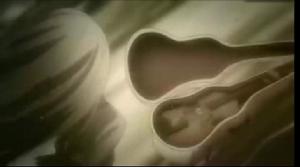 星名奏子（動畫截圖）