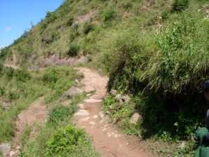 他利頗村 他利頗村