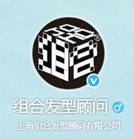 組合髮型顧問 組合髮型顧問