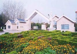 潛江水杉公園 潛江水杉公園