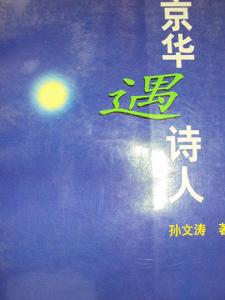 孫文濤[中國作家]