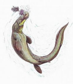 似傾齒龍 似傾齒龍