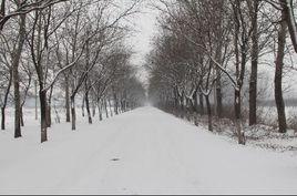 長子營鎮 長子營鎮