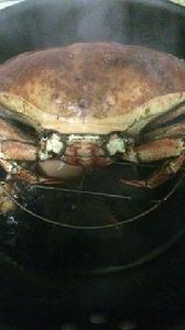 清蒸黃金蟹 清蒸黃金蟹