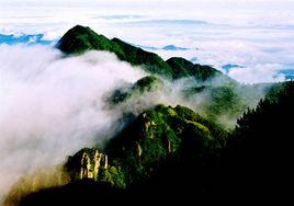 江西明月山國家森林公園 江西明月山國家森林公園