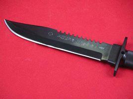 西班牙奧托叢林王 西班牙奧托叢林王