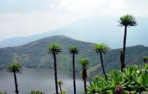 卡胡茲－別加國家公園