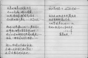 “總理遺言”案 “總理遺言”案