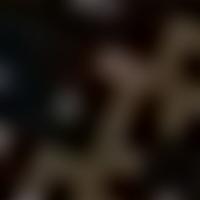 HR 1651 RASS 彩色圖