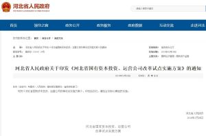 河北省國有資本投資、運營公司改革試點實施方案 河北省國有資本投資、運營公司改革試點實施方案