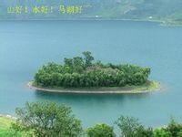 金龜島[雷波縣馬湖金龜島]