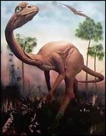 阿肯色龍 阿肯色龍