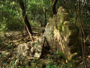 石家河古城 石家河古城