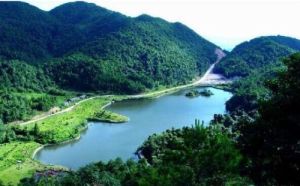 廣東東江森林公園 廣東東江森林公園