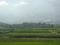 農莊自然村 農莊自然村