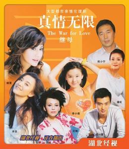 真情無限之繼母 真情無限之繼母