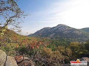 《大庭庫》 《大庭庫》