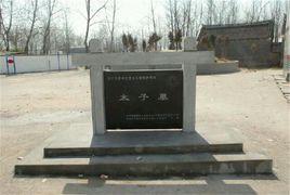 金太子墓 金太子墓