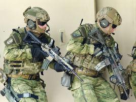 美國特種部隊[美國的一支武裝部隊]