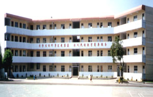 新建實驗國小 新建實驗國小