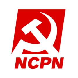 荷蘭新共產黨 荷蘭新共產黨