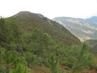 踏地坪自然村 踏地坪自然村