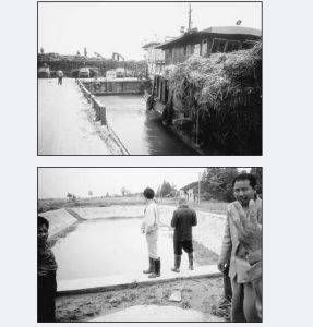 呼喚環保體制改革