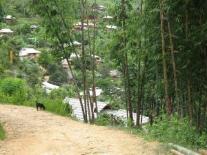 阿里寨村 阿里寨村