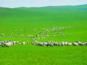 滿都胡寶拉格鎮