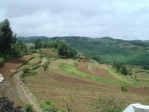 小山龍村 小山龍村