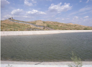 靈武白芨灘自然保護區 靈武白芨灘自然保護區