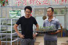 馬向陽下鄉記[吳秀波主演電視劇]