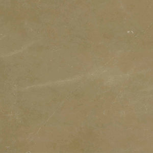 金世紀---X2SD802009